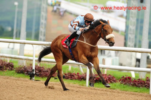That Boy David Dundalk 16th July 2012